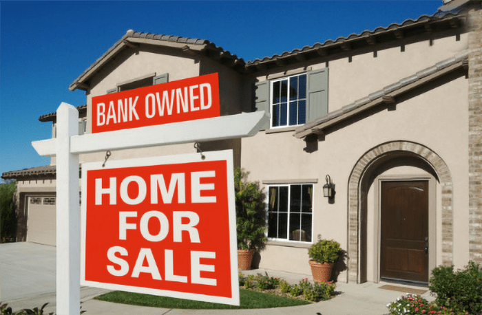 Are Real Estate Owned (REO) Properties A Good Deal? How Do REO Sales Work?